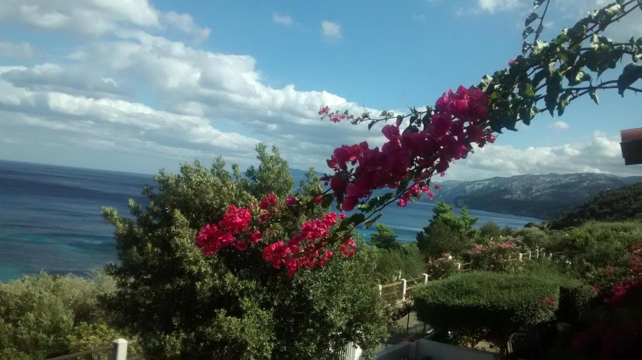 Independent Apartment With Spectacular View Cala Gonone Zewnętrze zdjęcie
